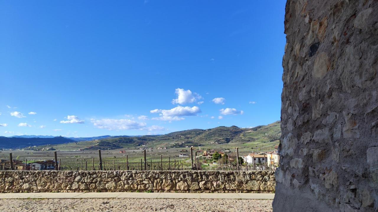 Stanza Allegra Soave מראה חיצוני תמונה